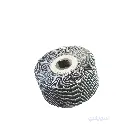 1_درام صنفرة 10x5 ايطالي.webp