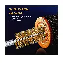 Bore-Brush-Bronze-Bore-Brush-Bore-Cleaning-Brush-Set-Wire (5).webp