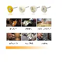 JIALUCONG-10pcs-18inch-Cashmere-Polishing-Buffing-Wheel-for-Dremel-Polishing-Kit--2.webp